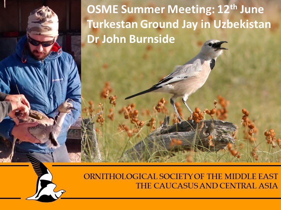 _OSME's tweet photo. If you missed our online Summer Meeting back in June, then the talks are now available on our YouTube channel.
Dr John Burnside discusses his research on the Turkestan Ground Jay in #Uzbekistan #ornithology #osmeregion 

https://t.co/StzNrYKOWM https://t.co/i68z2v1aqe