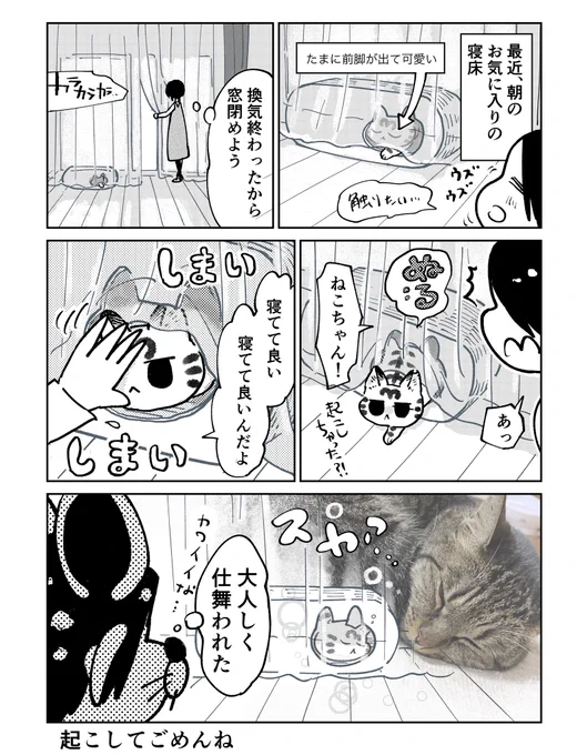 3本足のしじみちゃん142 