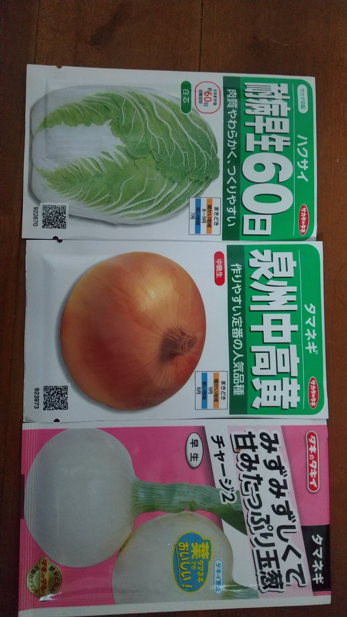 いないいないぼー Hirao 秋蒔き野菜の種を準備 白菜と玉ねぎを購入 家庭菜園 白菜 玉ねぎ