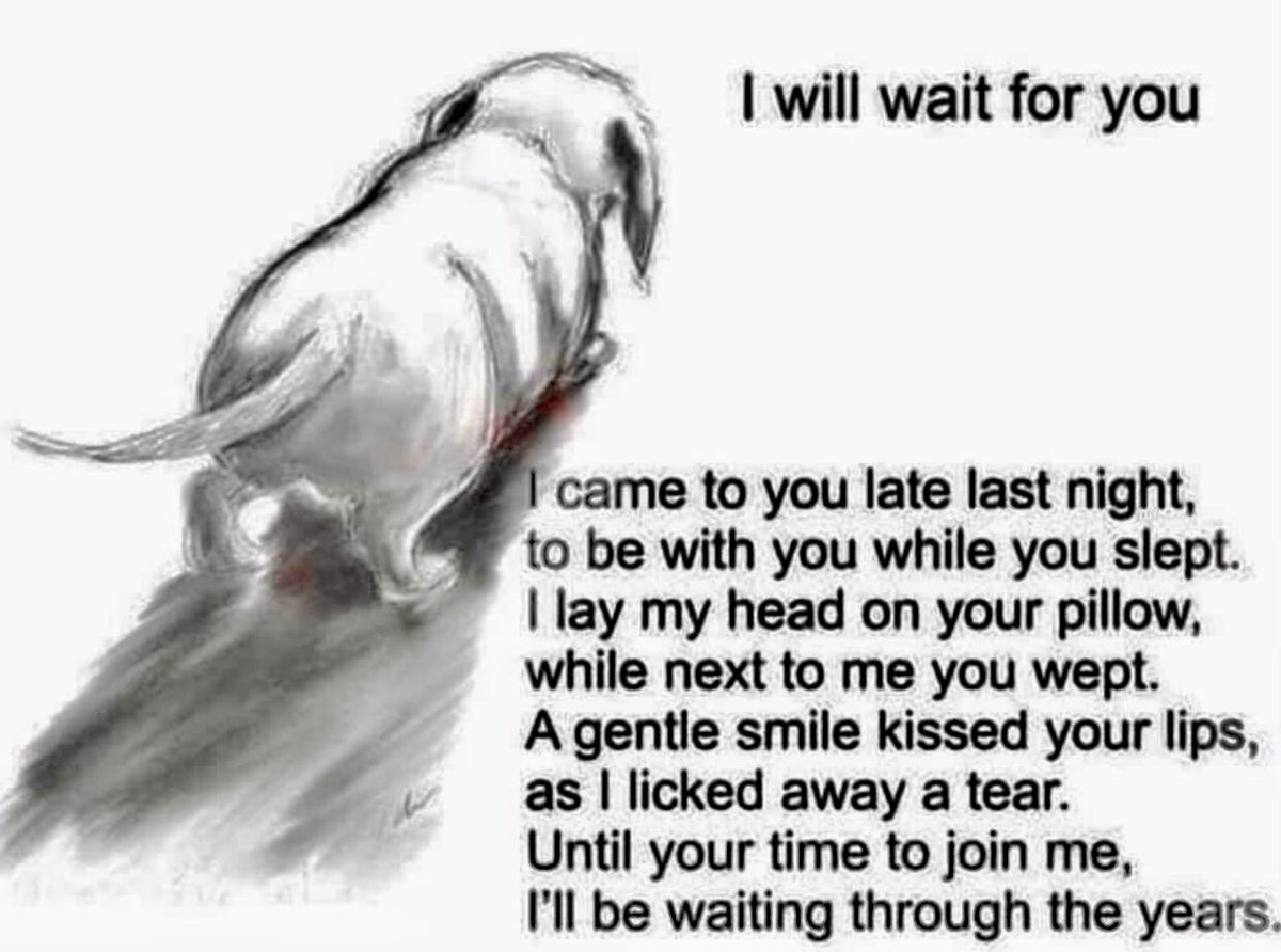 SamIAm25775666's tweet photo. @growingupzee https://t.co/XGKwLfxjJU