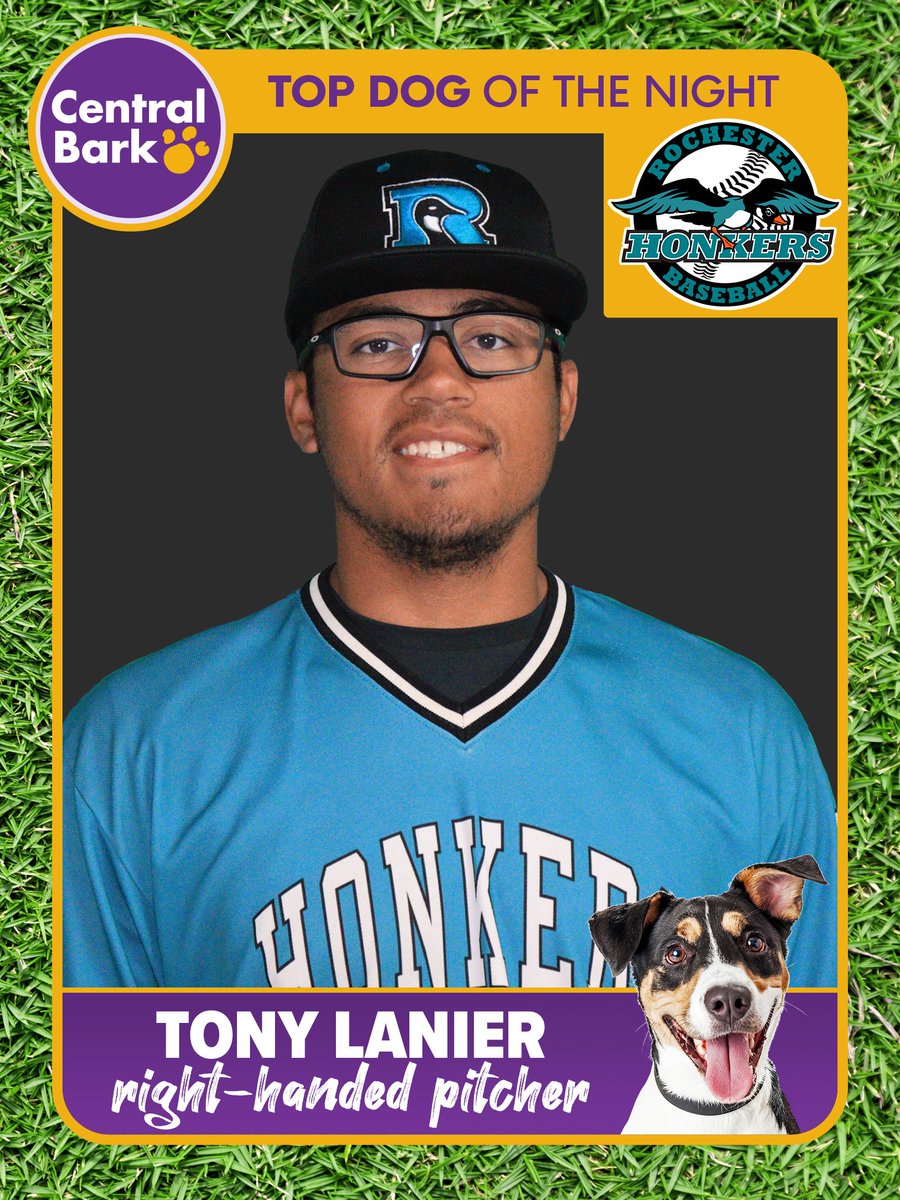RochHonkers's tweet photo. .@AnthonyLanier6 earns tonight's Central Bark Top Dog of the night with a bounce-back outing on the mound, tossing 3.1 scoreless innings and striking out five batters!

Honorable mention goes to @IkeMezzenga, who went 2-for-4 with a three-run homer.

#FunForTheWholeFlock https://t.co/tTSZZTUP5A