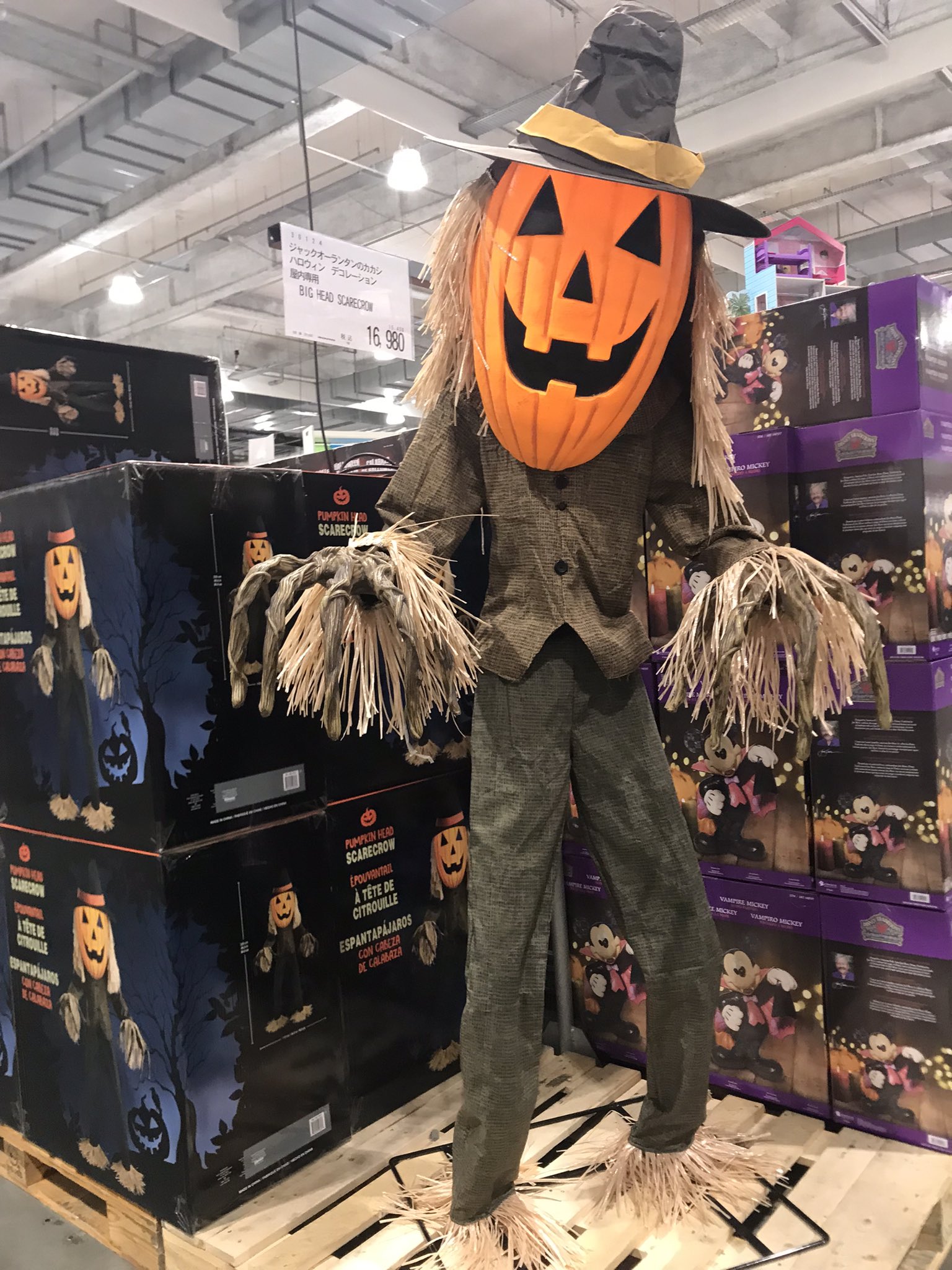 Kyo ﾟ 昨日コストコ行ったらもうハロウィン のが飾ってあった 先だと思っていてもすぐなんだろうなぁ T Co Wosslf27qv Twitter