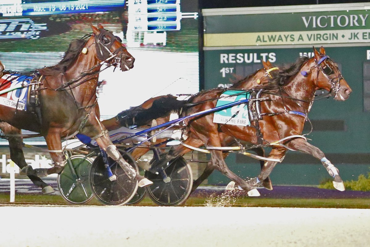 HoP_Racing's tweet photo. Congratulations to the connections of Catch The Fire, winner of the 2021 Dan Patch Stakes presented by Brittany Farms, becoming the sport's newest millionaire in doing so! #PlayHP #Patch28 https://t.co/v43g5sUJOG