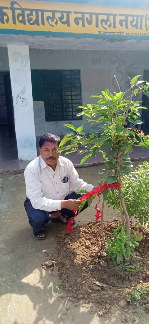RoopamSaxena4's tweet photo. 🌳#प्रकृति_मित्र, #nature_friend🌳
Dau Dayal Verma
Ht
Ups Nagla naya Composit
Jaswantnagar
Etawah💐💐💐💐

@shikshansamvad
@RedTapeMovement 
@teachersclubup @UNEP @UNBiodiversity @ipbes @eriksolheim
साभार : मिशन शिक्षण संवाद प्रकृति मित्र परिवार https://t.co/CO0B2AHwTh