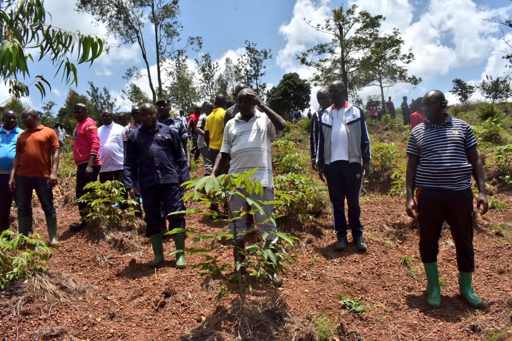 les2AA's tweet photo. 🧕🏿 #Burundi 🇧🇮 , Dans sa descente dans la province de Kirundo ,le Chef de l'État #General_Neva visite les champs modèles d'un multiplicateur des semences Gatabazi Jean qui développe les semences sélectionnées de maïs,haricots,ignames, manioc,colocases & les patates douces sur https://t.co/dpF1qHC0RD