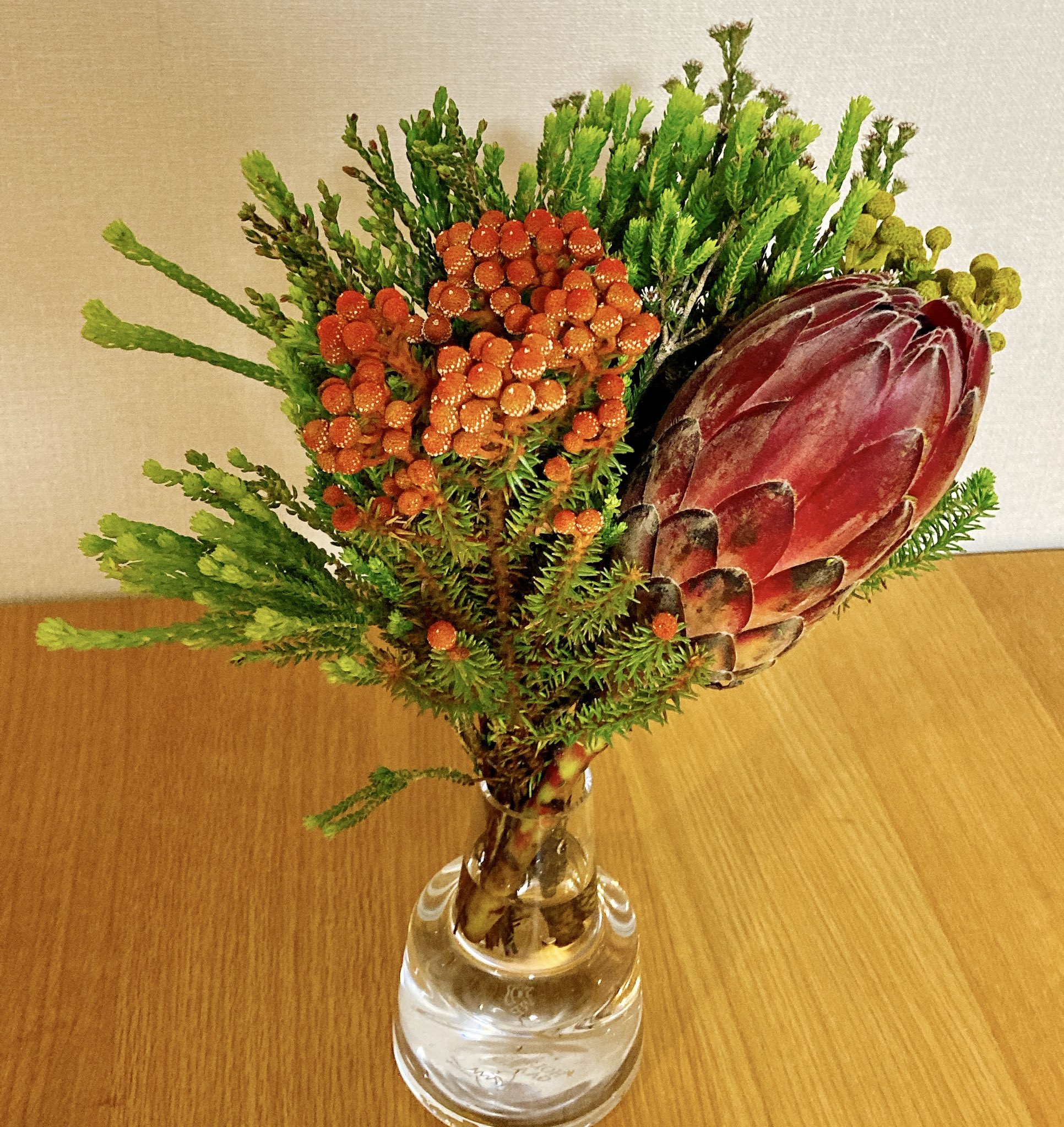 花森ハル プロテアの存在感がスゴイ 今まで知らなかったお花と出会えて嬉しいです アフリカのお花なのね ボリューム 1650円 配送タイプ 通常便 カラー おまかせ 花材 プロテア ネイティブフラワー Hitohana お花の定期便 T