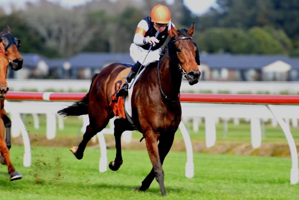 Lovely resuming win by the beautiful Marchioness. Half to HK star Winning Dreamer. Over a few niggles that derailed her 3yo season. Hopefully she can carry on the Eight Carat family legacy. Thanks to <a href="/PikeRacing/">Pike Racing</a> <a href="/McnabMjmcnab/">Michael Mcnab</a> <a href="/HaunuiFarm/">Haunui Farm</a>