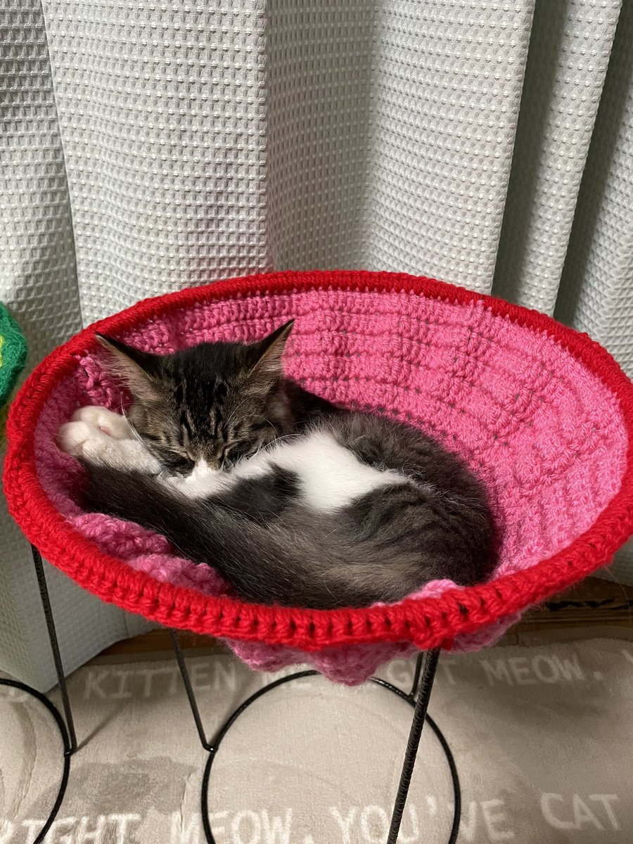 手作り猫ベッド