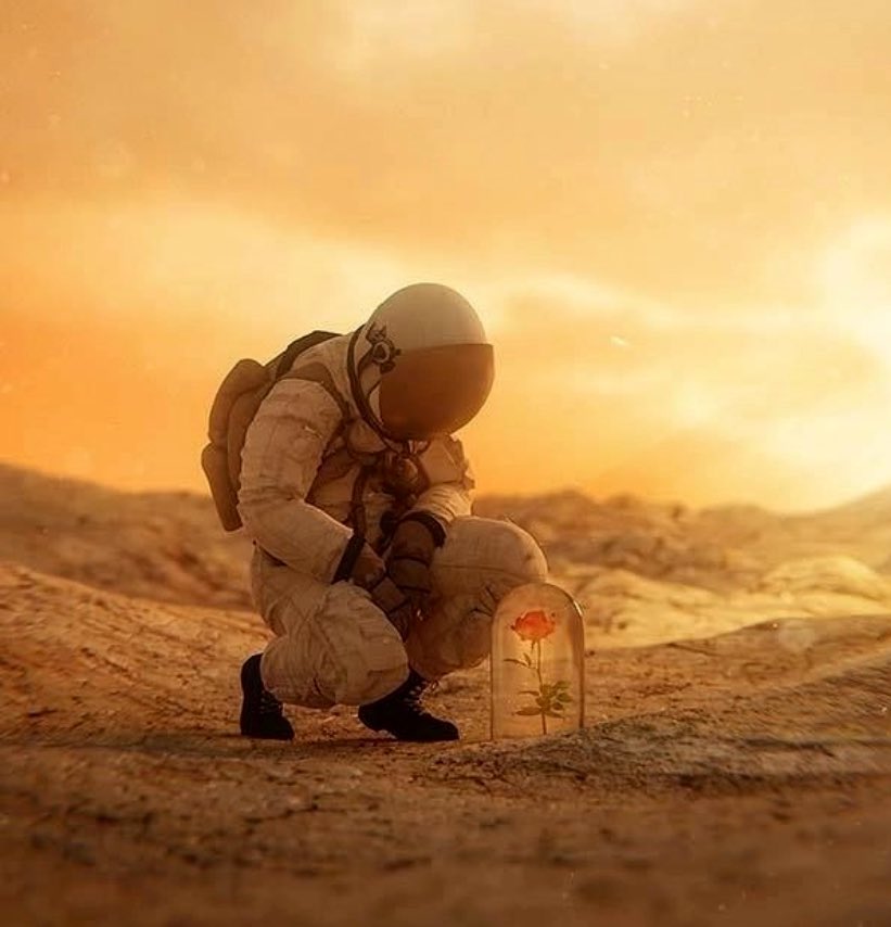 NASA шукає бажаючих рік жити в умовах, наближених до марсіанських - Цензор.НЕТ 6947