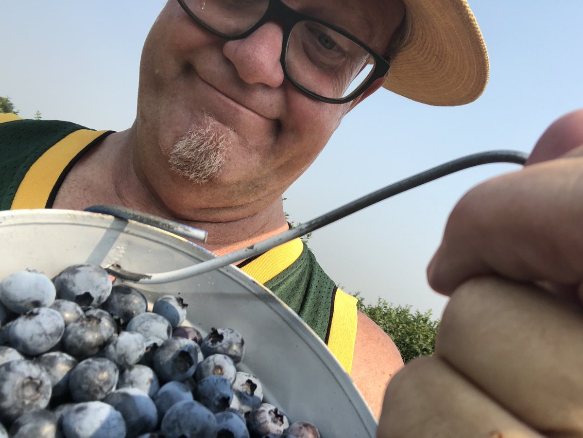 ScottHopson1's tweet photo. Blueberries this morning, pie tomorrow! https://t.co/T60cGp6lQD