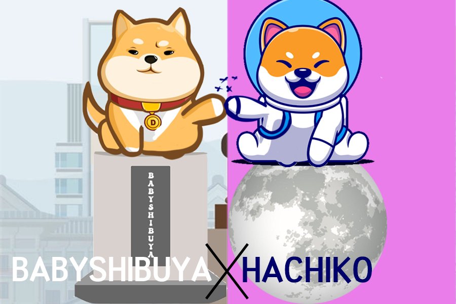 BABYSHIBUYABSC's tweet photo. $BabyShibuya 
BabyShibuya is deployed by the Hachiko's Dev with the aim of building a new community and ecosystem for hachiko holder.

TG : https://t.co/OA1BtfvxfH   
Website : https://t.co/TH5BqOAYnd
Instagram : https://t.co/V1krC5k5pn
Chart : https://t.co/CoUW1yAXhk
@1goonrich https://t.co/2AjZAFSKQ0