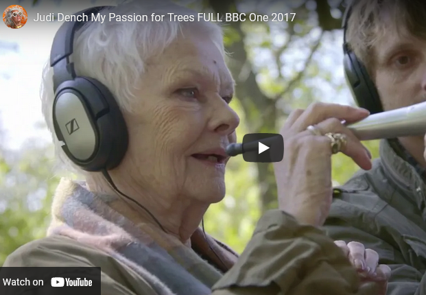 ecoforce_global's tweet photo. Weekend Viewing | Judi Dench - My Passion for Trees
With the help of some of the best tree scientists and the latest scientific equipment at her disposal, Judi unlocks the remarkable secret lives of trees.
Enjoy: https://t.co/nlxyECOeMq
#JudiDench #lifeoftrees #buyatree https://t.co/cD9I3aaBdn
