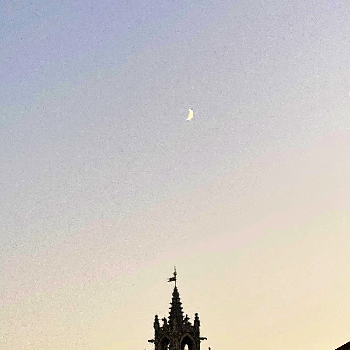 ankeanine's tweet image. Postkartengruss aus Avignon