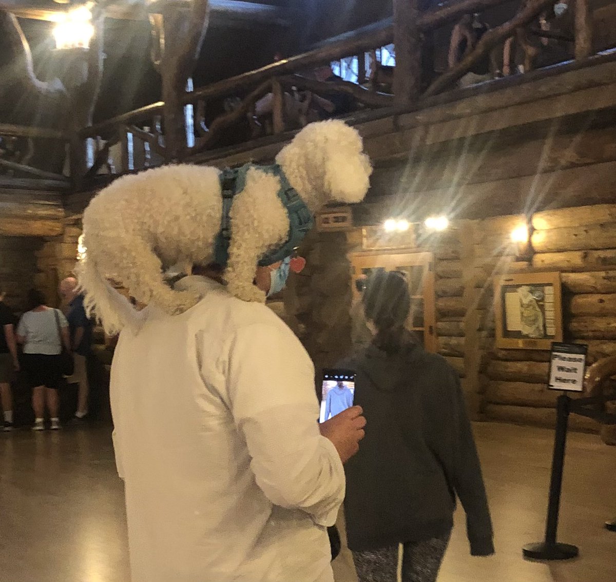 That sinking feeling you get when you take a pic of a cute dog only to realize later the owner is taking pics of your daughter.  Look at his phone screen.  Remember ladies to travel in pairs &amp; be aware of your surroundings.  Stay safe.  #yellowstonenationalpark #creep #StaySafe