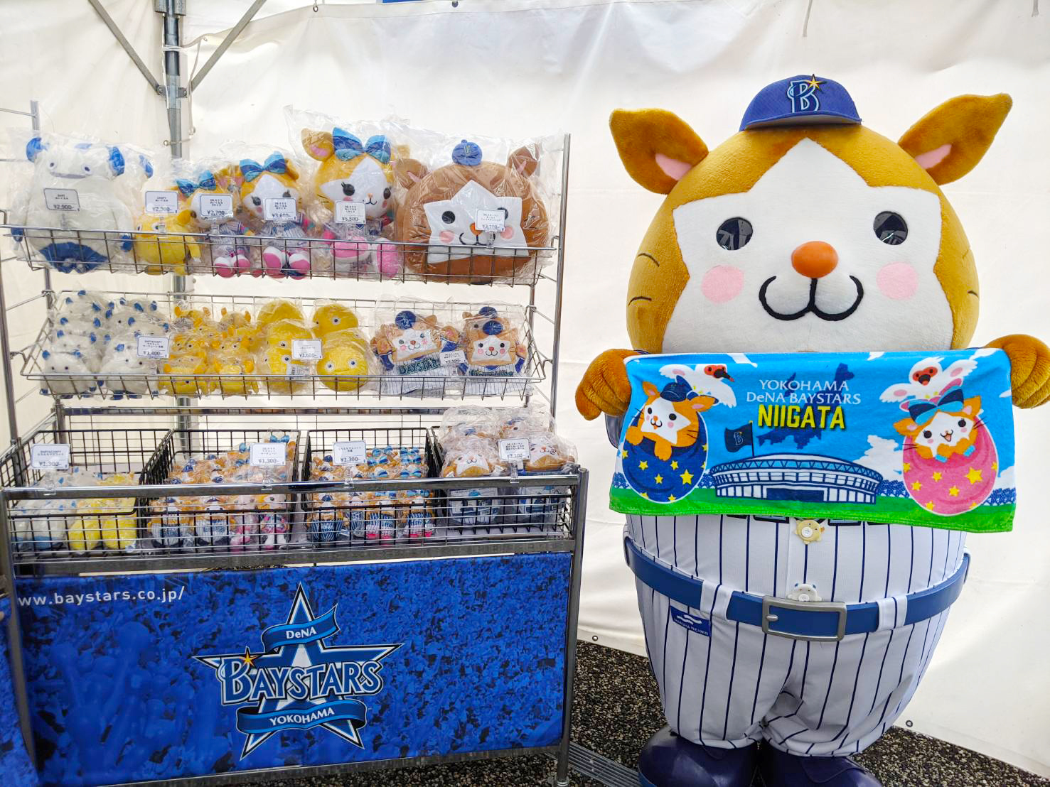 横浜DeNAベイスターズ в X: „#ハードオフエコスタジアム新潟