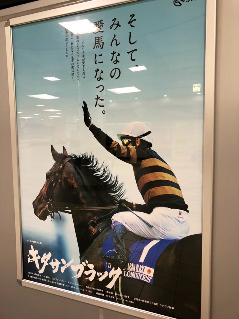 初めて中山競馬場に行ってきました。馬が生で走ってるところを間近で見られるのでとてもワクワクしてます。「あれ?今日は新潟、小倉、札幌でレースがあって、中山は9月からでは?」そうですね、今日中山でレースがあると思って指定席を買ったらやってなくて新潟、小倉、札幌でレ(写真は許可頂きました 