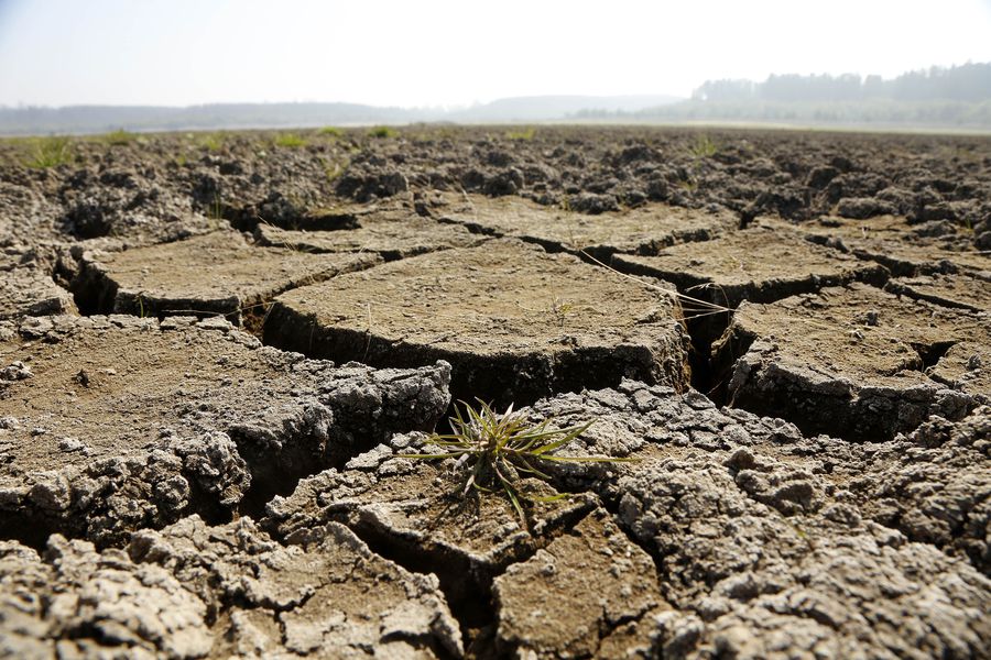 latercera's tweet photo. Chile en llamas: el complejo futuro climático del país https://t.co/iTSOuOLyEs https://t.co/LfiCmQ8Anx