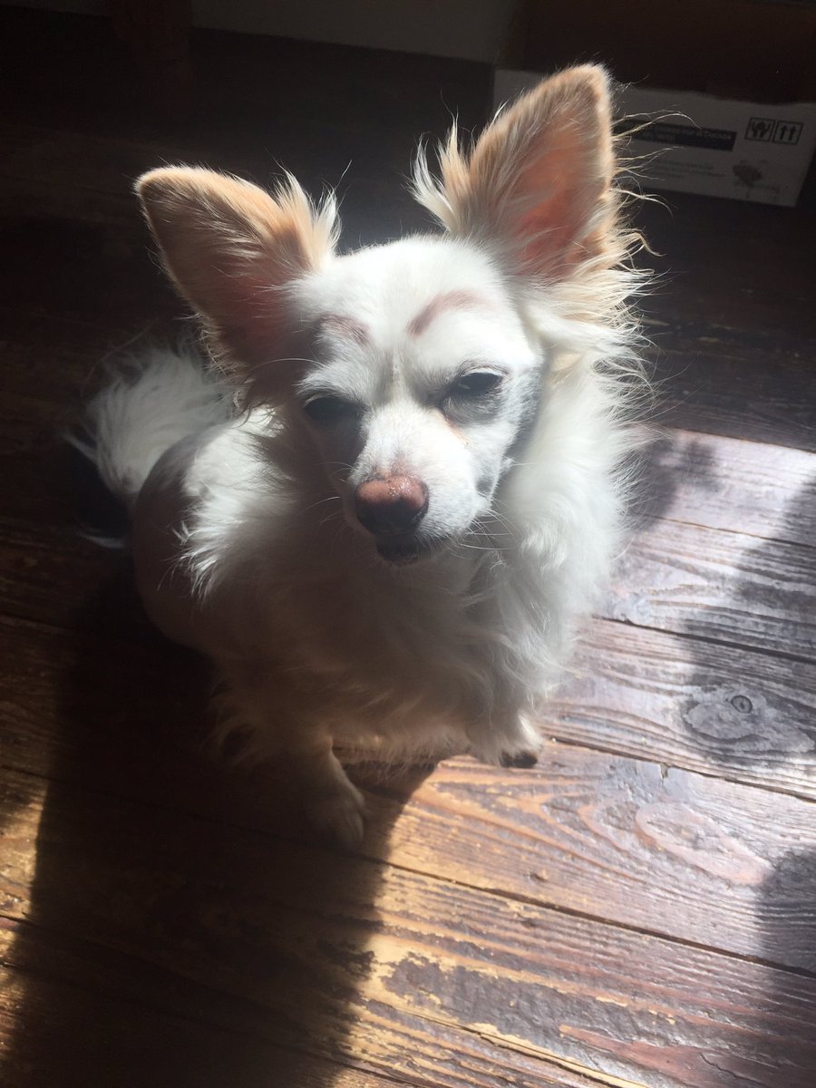 Governess Ely tweet media