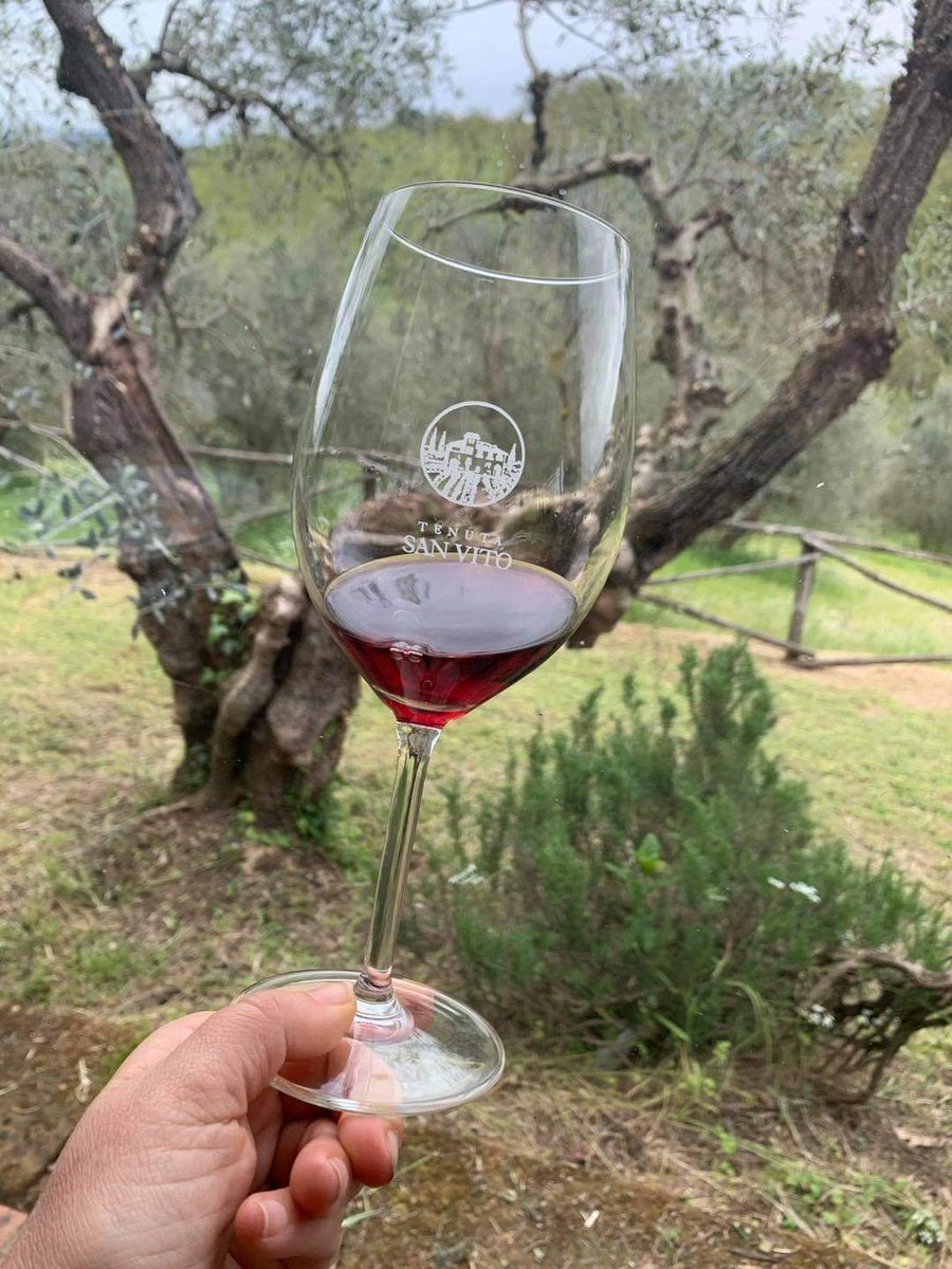 #agriturismotoscana #tuscanfarmhouses #restaurant #organicwinetasting