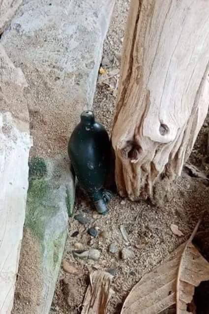 SAC beat &amp; interrogated a 40yr old man in Muhtaw village, &amp; injured head,arm &amp; chest. SAC also stole 5 motorcycles, destroyed property, killed a cow &amp; ate &amp; sell leftovers to villagers. Villagers have to flee in fear. #Aug14Coup  #WhatsHappeningInMyanmar
