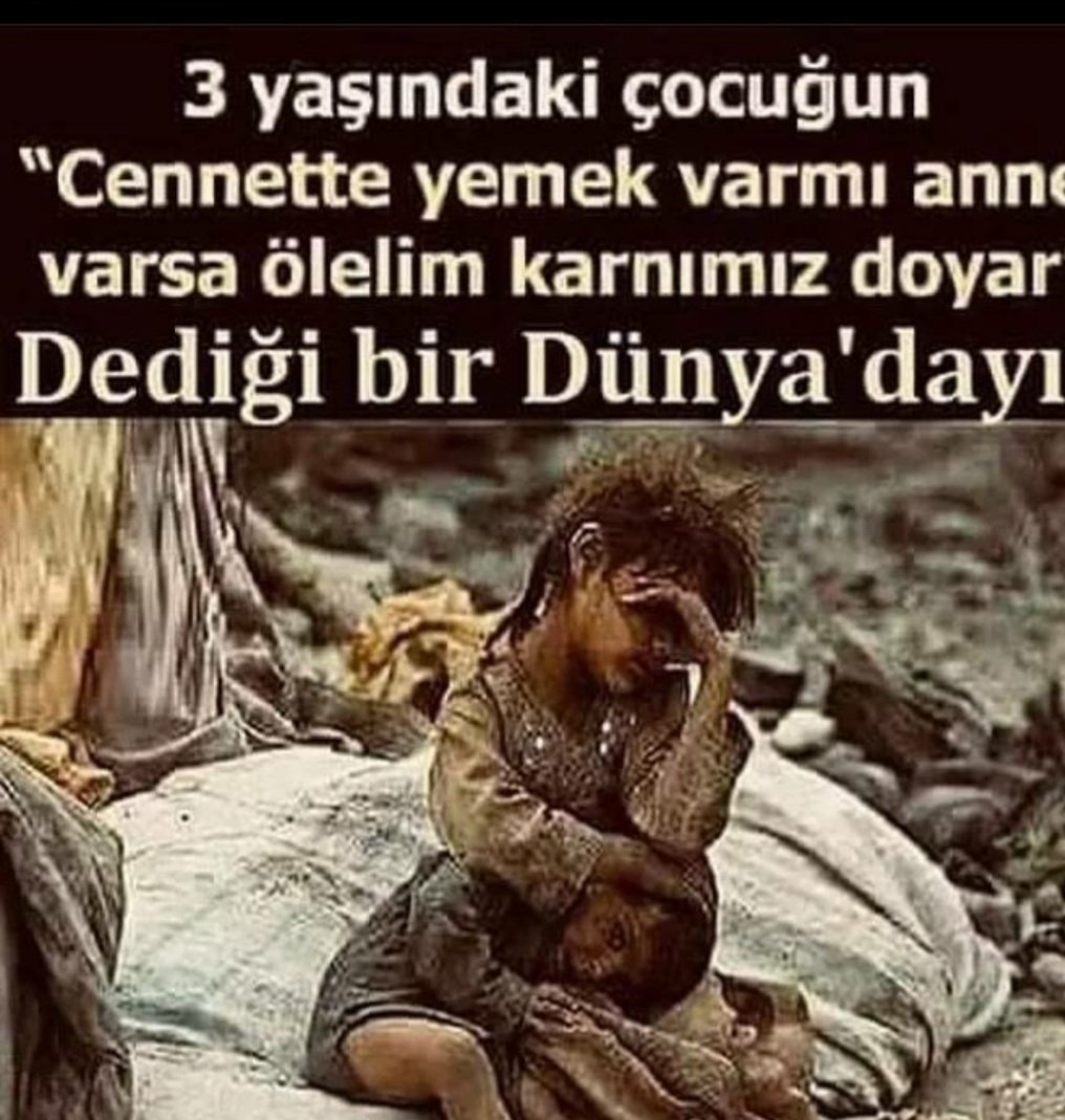 SultanTasl's tweet image. 