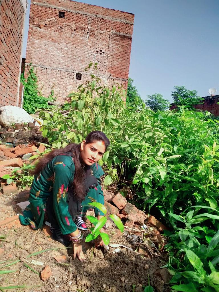 🌳#प्रकृति_मित्र 🌳 #nature_friend🌳
Name : Shalini Singh
Designation : A.T.
Address : PS Jankipur, Sirathu, Kaushambi
<a href="/shikshansamvad/">मिशन शिक्षण संवाद @shikshansamvad</a>
<a href="/RedTapeMovement/">Red Tape Movement 🌳</a> 
<a href="/teachersclubup/">teachers club</a> <a href="/UNEP/">UN Environment Programme</a> <a href="/UNBiodiversity/">UN Biodiversity</a> <a href="/ipbes/">ipbes</a> <a href="/eriksolheim/">Erik Solheim</a>
साभार : मिशन शिक्षण संवाद प्रकृति मित्र परिवार