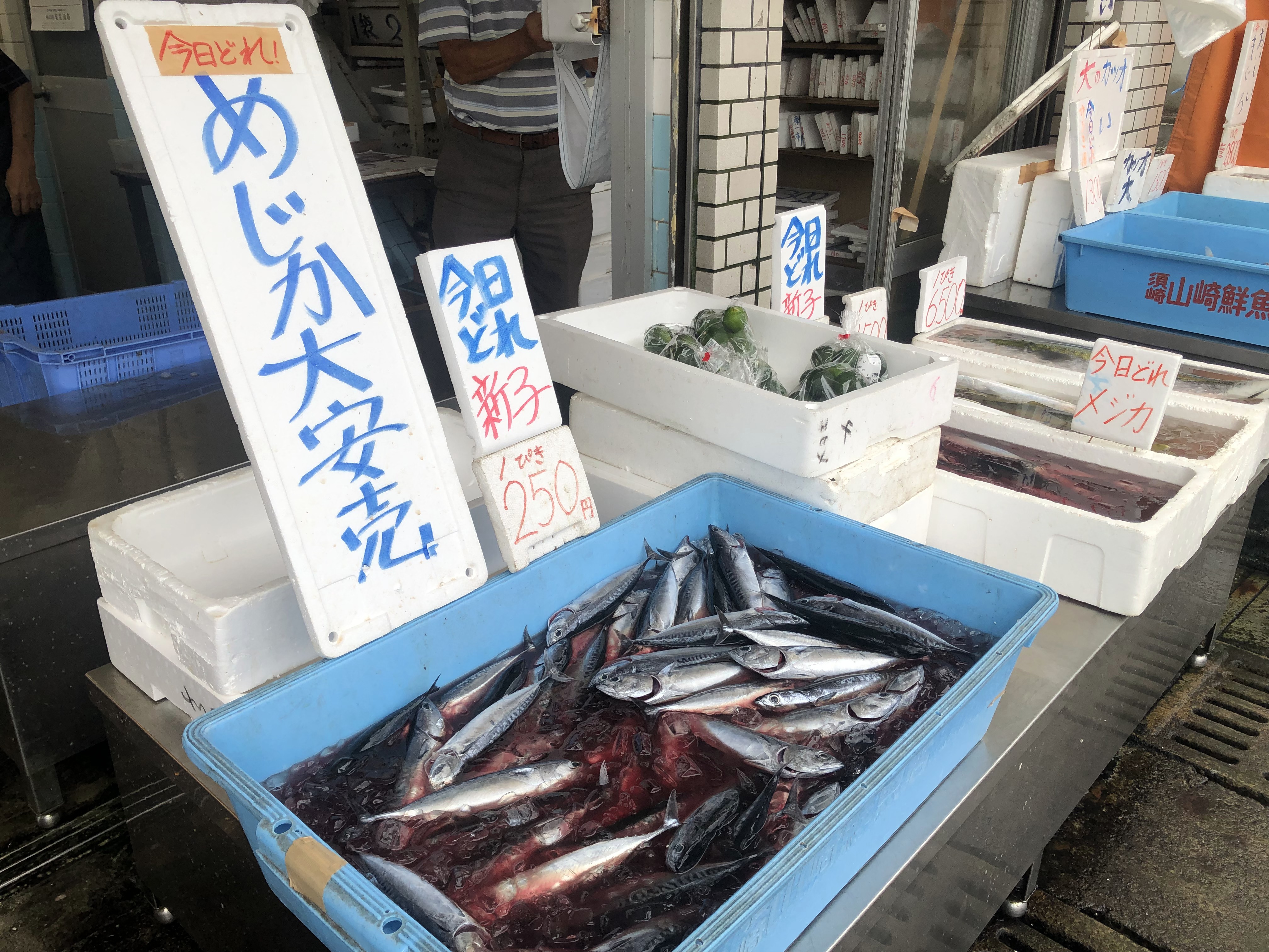 一社 須崎市観光協会 高知 今日もめじかの新子 が水揚げされました 須崎市の山崎鮮魚店さん ほかの鮮魚店も販売しているようですので要チェック やっと新子の次期 メジカ メジカ祭り 新子 須崎市 須崎鮮魚店 高知県 新鮮な魚 高知観光 高知