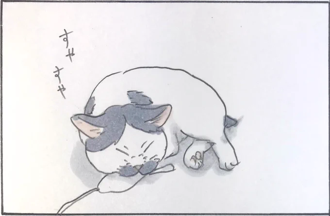『おもちゃの番猫』 