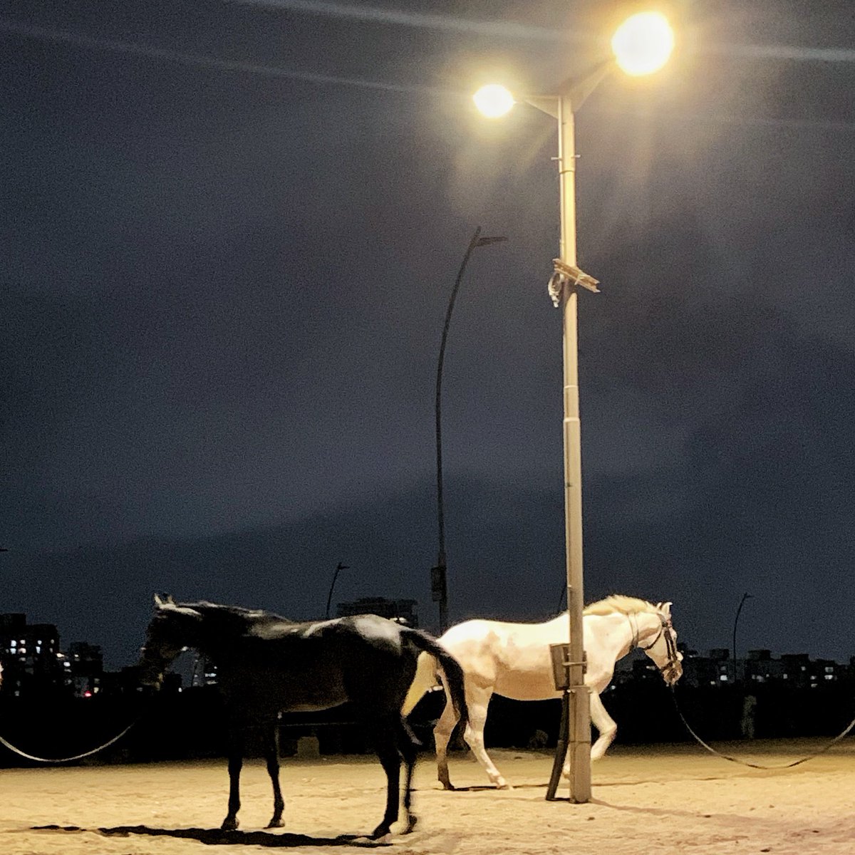 𝐘𝐢𝐧 𝐚𝐧𝐝 𝐘𝐚𝐧𝐠
.
.
.
#spicollective #yourshotphotographer #iphonexr #photooftheday #mumbai #yourclicks  #littleboxcollective #bnw #_soi #streetphotographyindia #indiaphotostory #shotoniphone #yourshot_india #capturestreets #life_is_street #thestreetphotographyhub