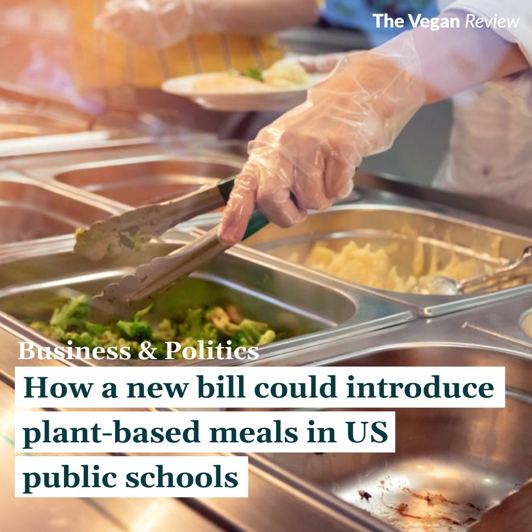 A new bill called the Healthy Future Students and Earth Pilot Program Act could help public schools in the United States add plant-based options if passed🌱

Read more👇
l8r.it/INmL

#vegannews #plantbasednews #healthyfuturestudents #earthpilotprogram <a href="/govtrack/">GovTrack.🇺🇸</a>