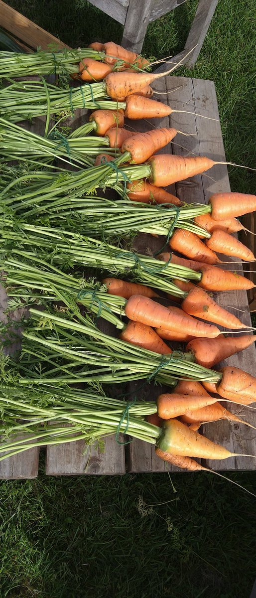 DunkeldField's tweet photo. All for sale from 10:00 today in Dunkeld https://t.co/RKcDOvZWoR