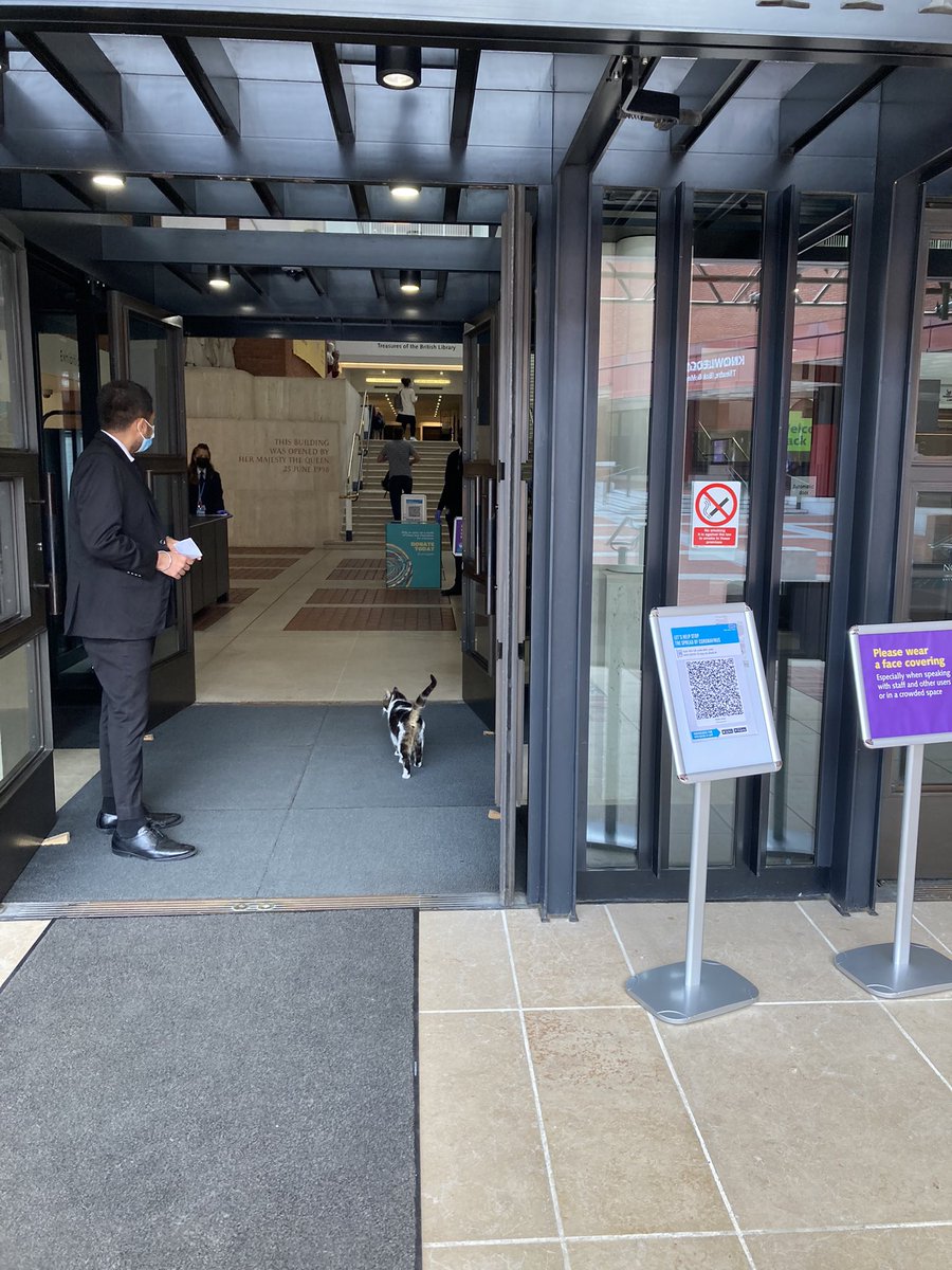 I’m at the British Library this fine Saturday. And so, apparently, is a cat…
Very pleased that feline readers are now admitted, but what book is she consulting?