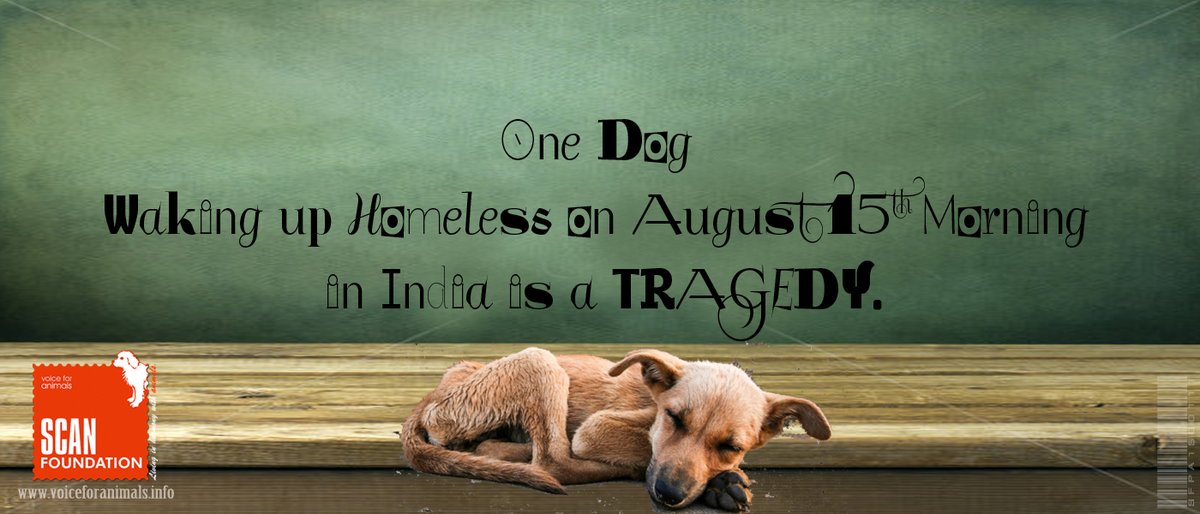 Voice for Animals tweet media