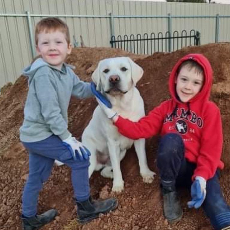 lab_franklin's tweet photo. I just LOVE hanging out with my human brothers! We played so much today! https://t.co/jYvcGeB5j8