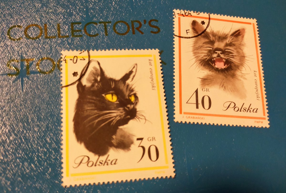ポーランドの笑う猫と黒猫グラビアンスキーの猫たちねこの郵便局オーナーの生まれた1964年に一緒に誕生 神楽坂 ねこの郵便局 イ 21 08 14 神楽坂ねこの郵便局というなまえのお店