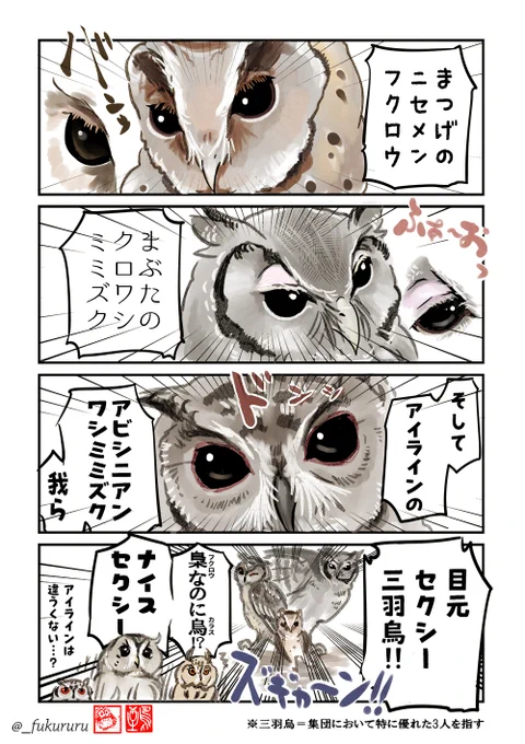 アビシニアンワシミミズクお絵かき強化週間嵐の中、ニセメンフクロウのまつげとクロワシミミズクのまぶた、アビシニアンワシミミズクの目の縁に思いを馳せる謎漫画。ナイスセクシー! 