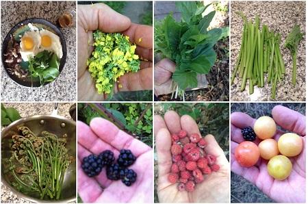 Sales_Lead_2023's tweet photo. The Lost Book of #Remedies has chapters that discuss in detail how to grow #medicinal #herbs, making powder, infusions, #decoctions, #salves, #tinctures, #medicinal extractions, #poultices, and more.
https://t.co/GIb5NSDhkA https://t.co/8WtCGbtYCG