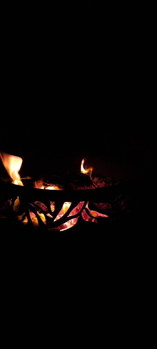TomStevo123's tweet photo. What else do you do in lockdown then sit by a fire in your backyard https://t.co/xx3zNyH43J