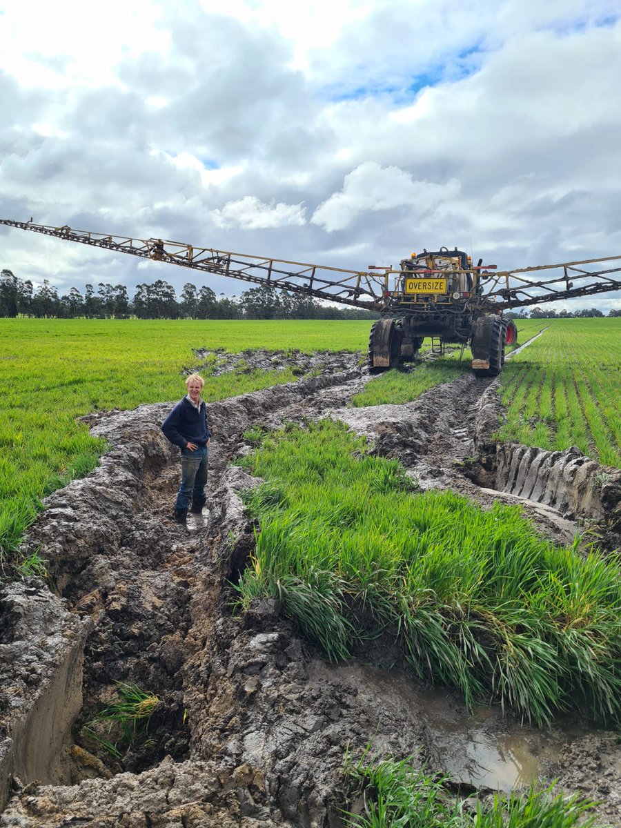 son_of_a_beech9's tweet photo. Are Allflex EID tags the way to go? Also best stick reader? Tru Test, Gallagher, Tepari? #asktwitter retweets appreciated @luckyimalad https://t.co/TfcGbUPTeC