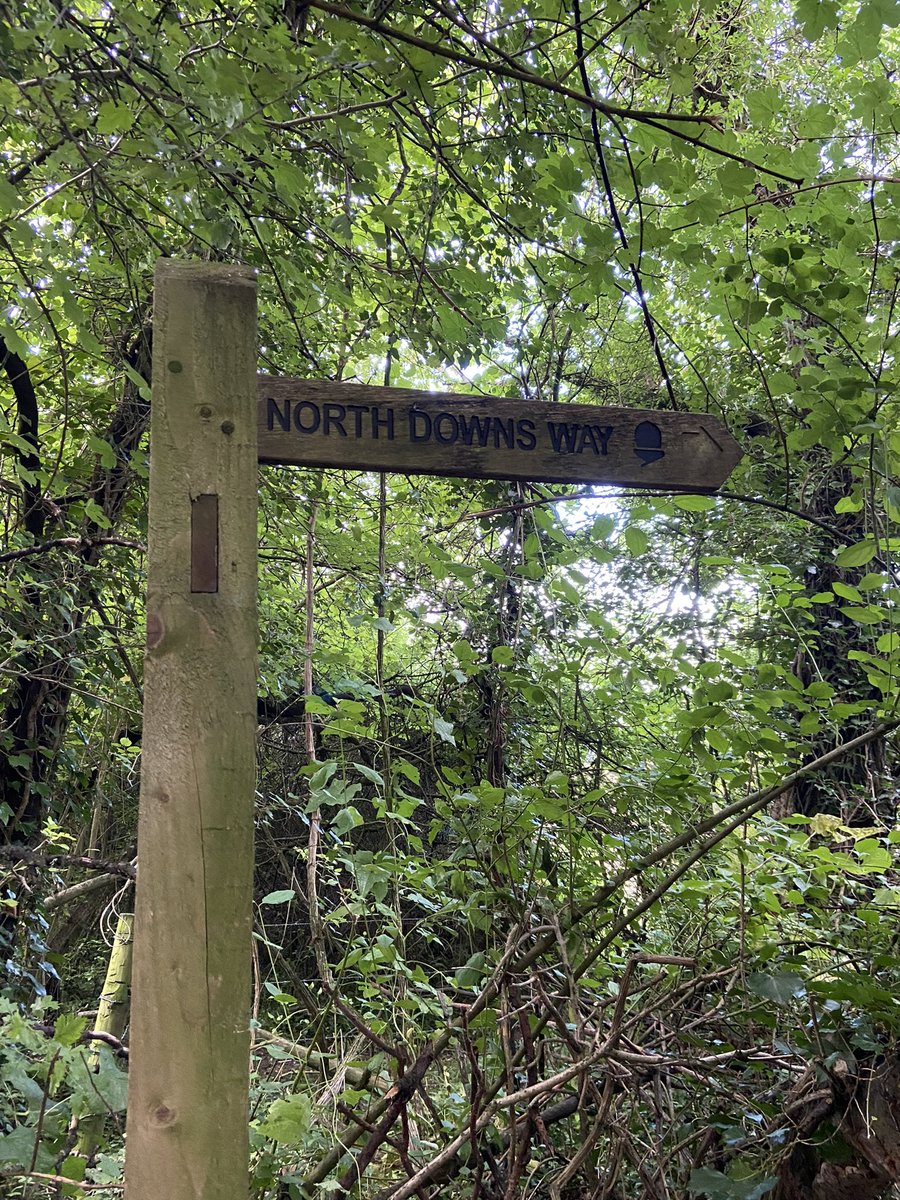 Chris Mason tweet media