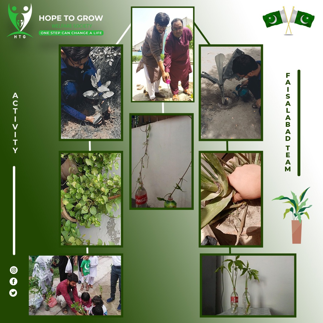 HopetogrowWS's tweet photo. Good work Faisalabad team https://t.co/1S8dXkTa90