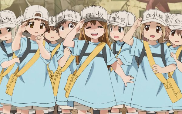 Hataraku saibou. Hataraku saibou. Hataraku saibou тромбоцит. Saibou макрофаг. Working cells.
