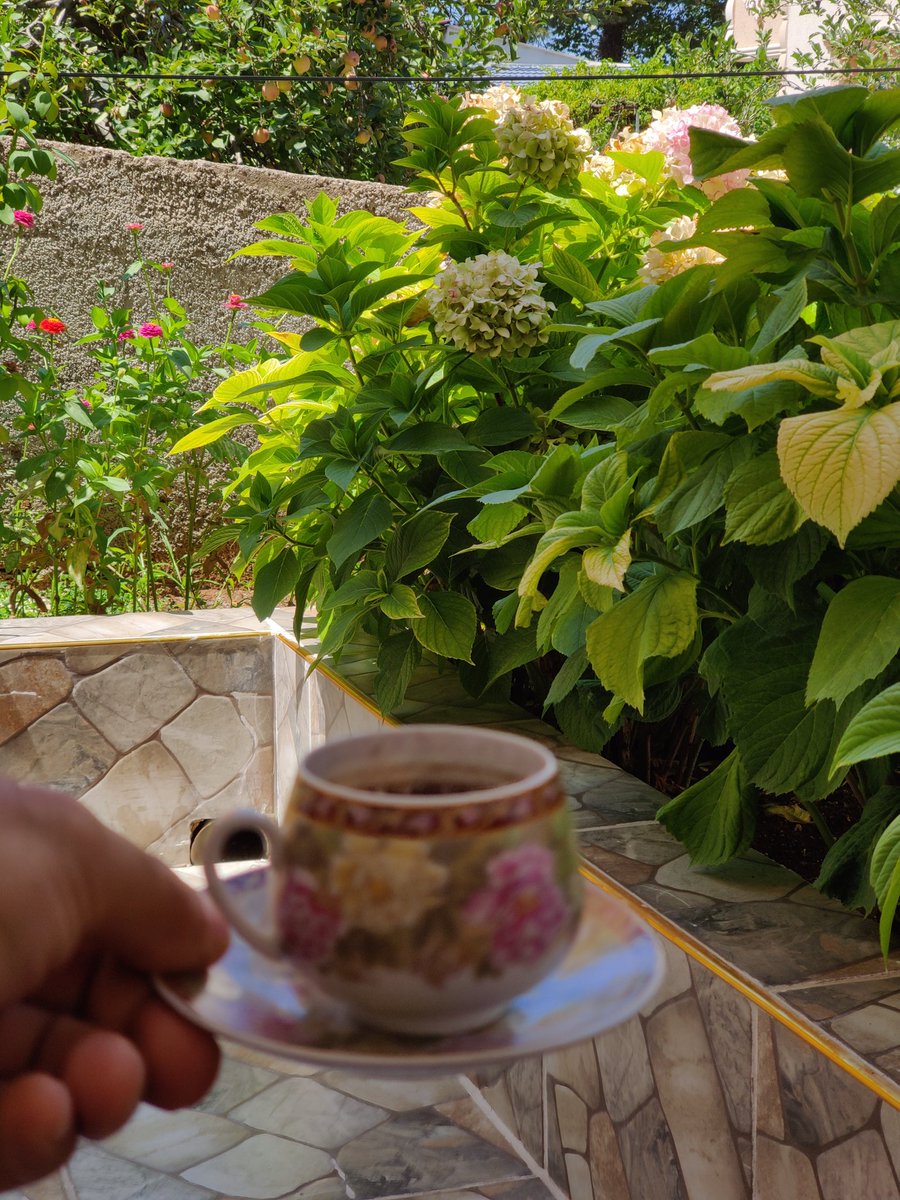 Kahvaltının hakkını veren yerde 😊 Kahve'den önce yenen sabah öğünü Kahve-altı.