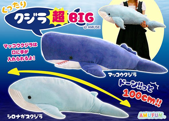 アミューズ Amufun 公式 Rt Gaokabukicho 大人気の くったりシリーズ 今月はこちらが新登場 くったりクジラ超big 超人気の1mサイズシリーズ最新作 シロナガスクジラ は畝部分がコーデュロイ素材でリアルです Twitter担当ボー