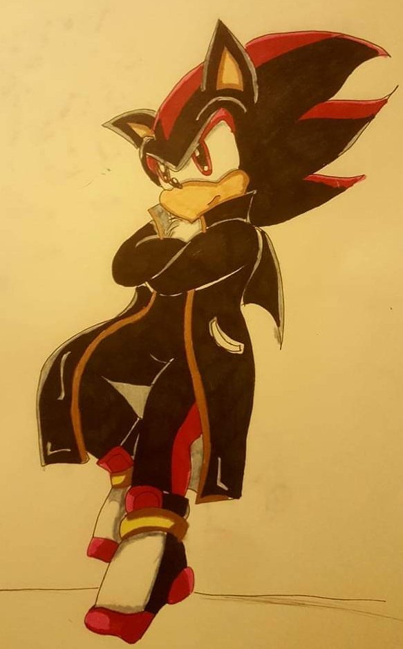 Sonic and Shadow jackets — Weasyl