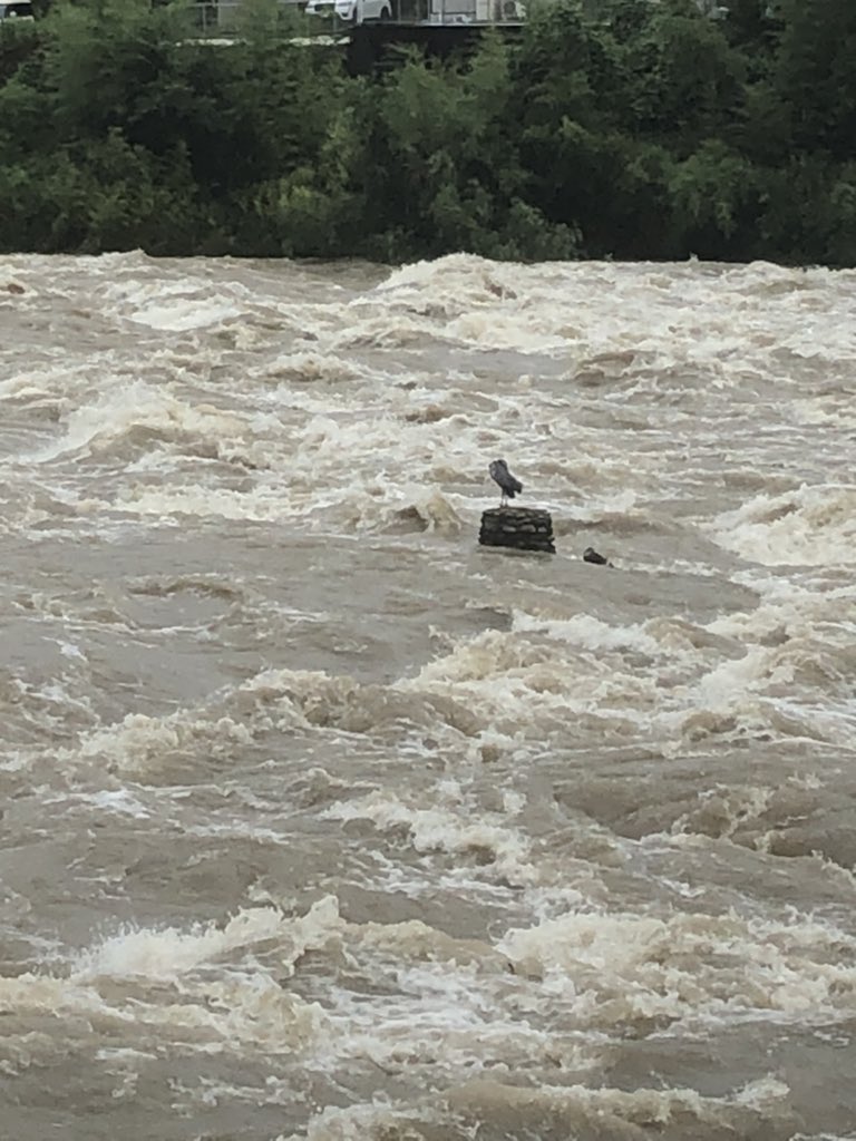 ナット Brug25t Twitter