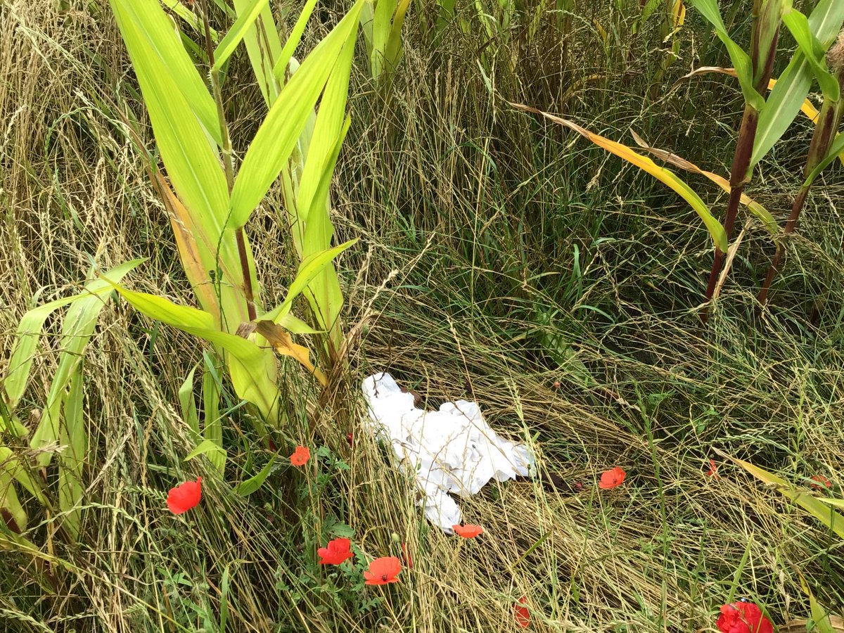 Why does it happen gypsies encamped on this football field , the children of Cudworth their playing field.

The mess they left scandalous.
The families came down this morning the Big Clean up, the children helped.
Tomorrow they are having a Fund Rising event to buy new equipment.