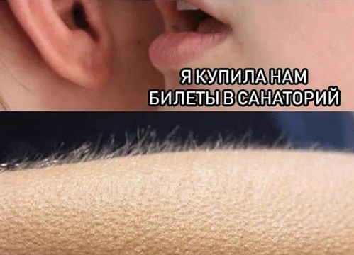 Ужасные мемы (@so_mad_so_funny) on Twitter photo 