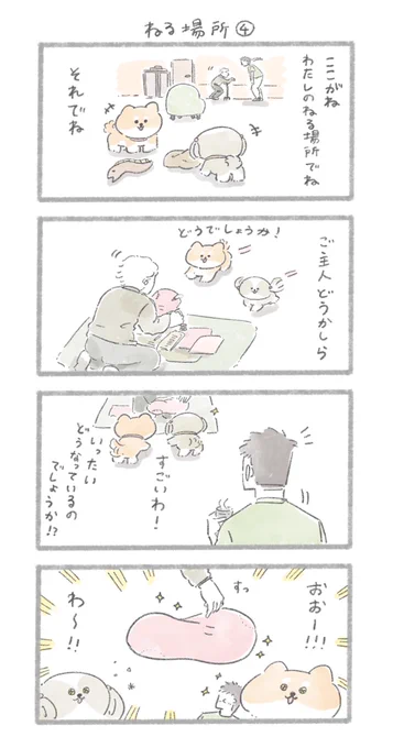 シーズーさんのおうち#こんにちはいぬです 