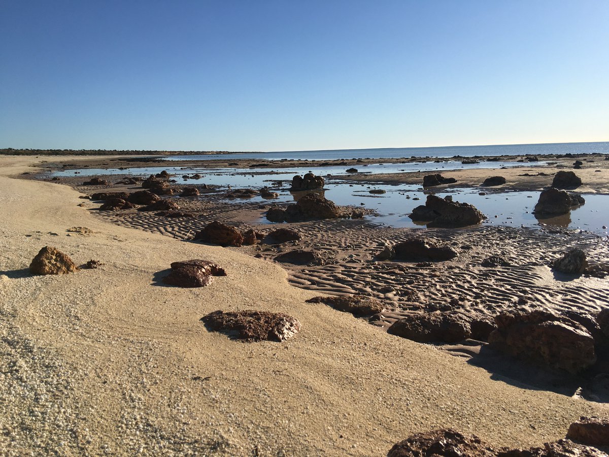 SeagrassLiz's tweet photo. What better way to kick off #NationalScienceWeek in 2021 than attending the #HamelinScienceFair Talking science on #MalganaCountry https://t.co/sqGhrqS40C